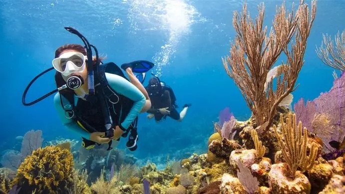 PADI Open Water Diver